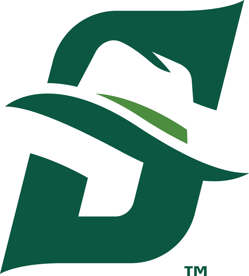 Stetson Hatters 2018-Pres Primary Logo DIY iron on transfer (heat transfer)